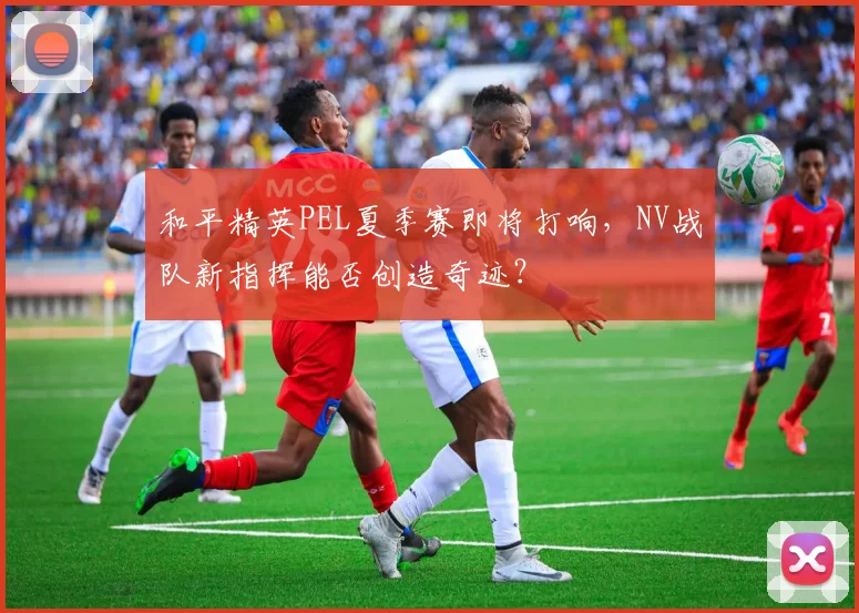 和平精英PEL夏季赛即将打响，NV战队新指挥能否创造奇迹？